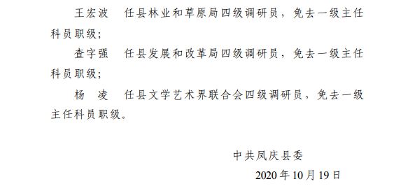 臨滄最新干部人事任免多維度解析，觀點(diǎn)分析