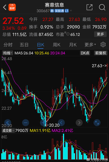 賽意信息股票最新動態(tài)，科技浪潮中的領(lǐng)軍企業(yè)