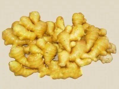 乳山大姜最新價(jià)格多少,乳山大姜最新科技產(chǎn)品介紹，前沿科技，重塑生姜市場(chǎng)，體驗(yàn)未來(lái)生活新篇章！