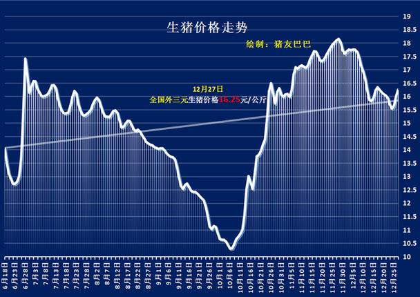 全國(guó)豬價(jià)行情最新動(dòng)態(tài)，科技引領(lǐng)未來，把握新動(dòng)態(tài)趨勢(shì)