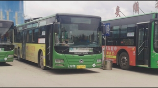 公車系列2最新章節(jié),公車系列2，溫馨陪伴的日常趣事