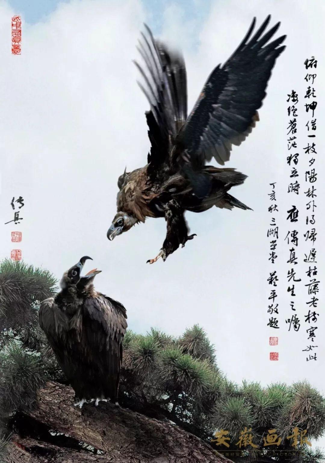 澳門傳真～澳門傳真,方案優(yōu)化實施_輕量版19.778