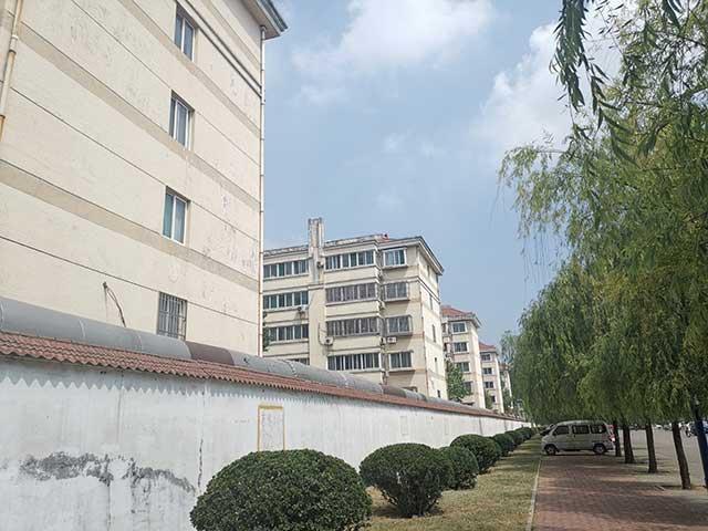 山東魏橋集團(tuán)最新動(dòng)態(tài)概覽，全面指南與技能學(xué)習(xí)路徑探索