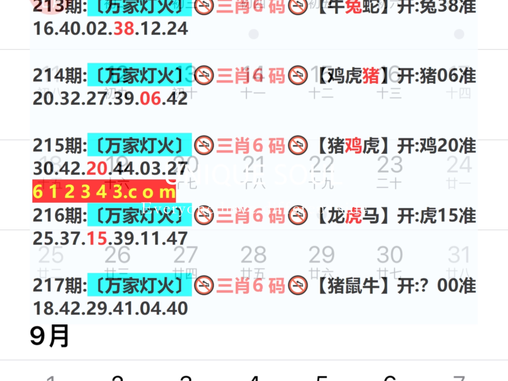2024年341期奧門(mén)開(kāi)獎(jiǎng)結(jié)果,新式數(shù)據(jù)解釋設(shè)想_實(shí)用版63.731