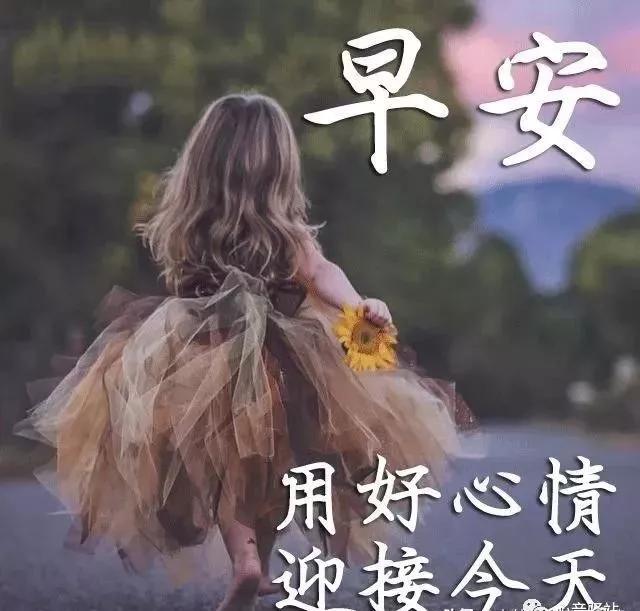 早上好最新圖片周末，視覺美學(xué)的多維度解讀與賞析