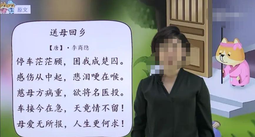 鷓鴣中最新視頻發(fā)布，不容錯(cuò)過的精彩瞬間