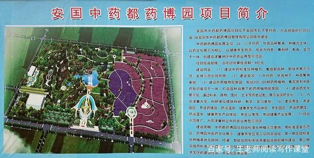 安國藥都新城最新動態(tài)深度解析，最新進展與觀點論述