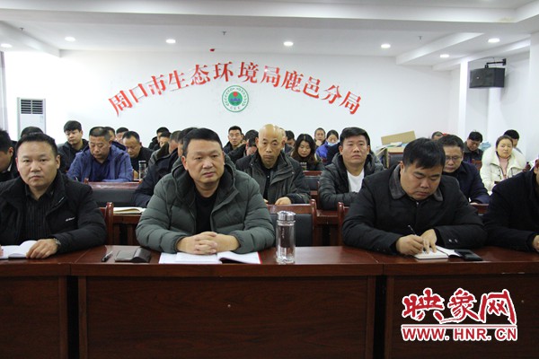 周口宋志軍最新動態(tài)揭秘，日常趣事與情感紐帶全記錄