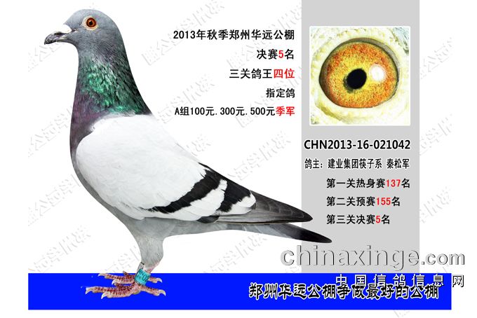 鄭州華遠(yuǎn)公棚最新公告發(fā)布，關(guān)注最新動態(tài)與通知