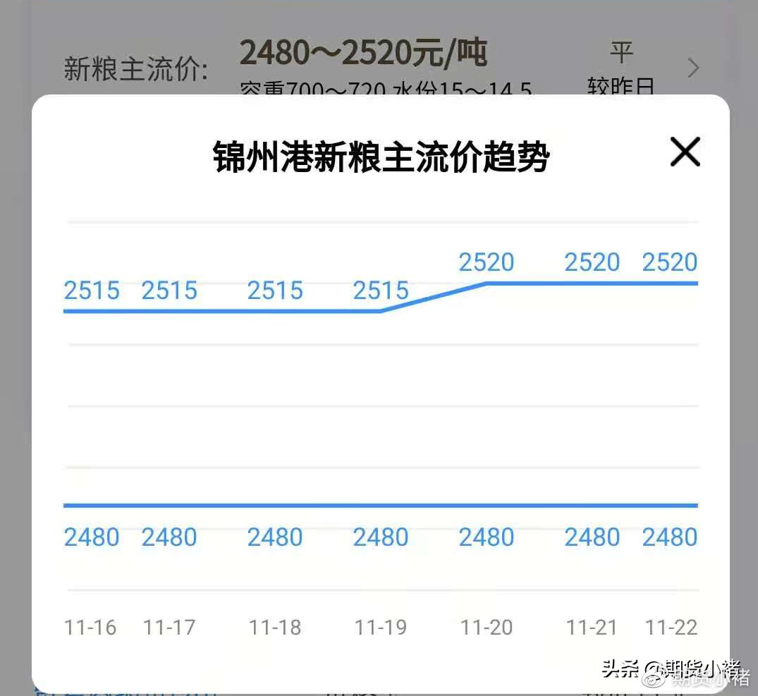 錦州港玉米最新價格揭秘，港畔的玉米情緣探秘